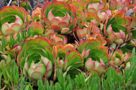 ·չ׶Ρũص ؼ￴ؼ