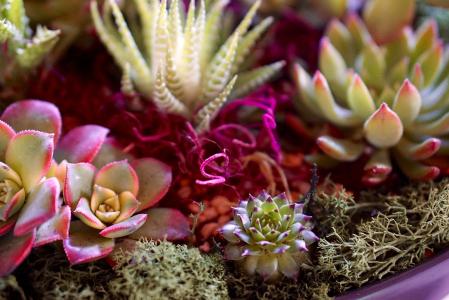 ȫIPOʶӽʷλ гǹĭ